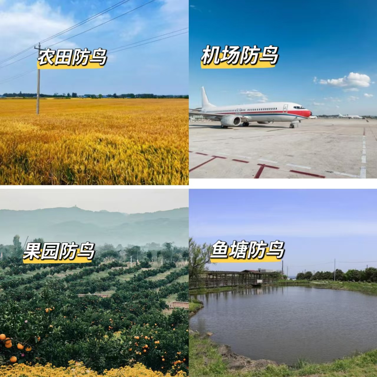 微信图片_20241118193546