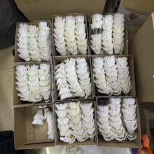 羽毛球训练俱乐部培训教学寒假老师教练球发球多球练习一整箱