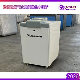 燃气锅炉;家用采暖炉;蒸汽发生器