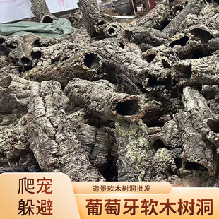 �������M��ܛľ��Ͳܛľ��Ƥ��Ȼ�䶴����~�����ָ��쾰��Ƥ��Ͱ