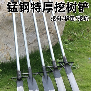 ����P�i��F�@�ژ䌣���@�ڿ������ڜ����������������ڹS����