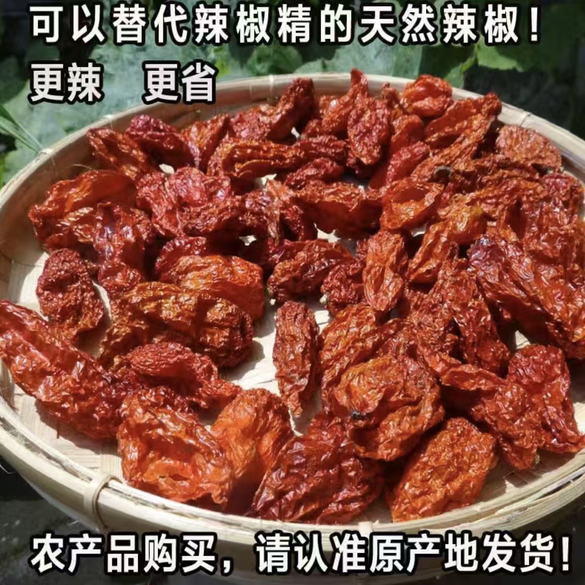 印度椒德宏涮涮辣1斤商用变态辣龙息辣椒卡罗纳死神特辣魔鬼辣
