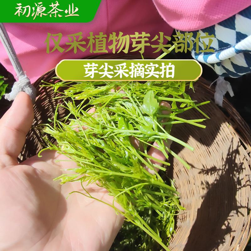 100g Zhangjiajie Berry Tea Special Grade Bud Tip Berry Tea Authentic Longxu Maoyan Mold Tea Vine Tea Dropshipping 3