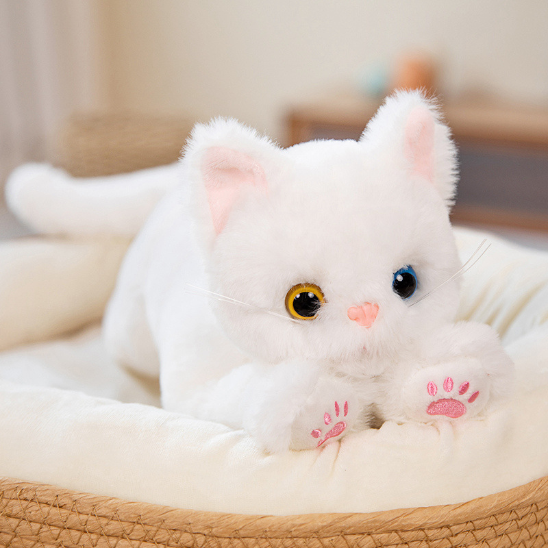 Gato blanco