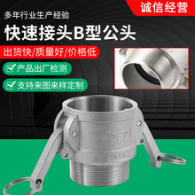 快速接头B型公头卡套式内丝螺纹液压高压水/油管配件不锈钢接
