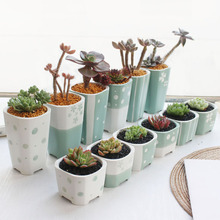 凡土厂家直销老桩盆陶瓷多肉花盆绿植盆栽容器028款小确幸系列