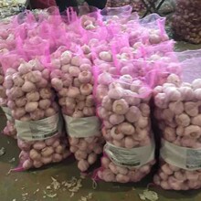 出口俄罗斯5.0cm普白大蒜5公斤网袋包装红蒜高标金乡大蒜