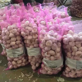 脱水蔬菜;蒜;其他调味品