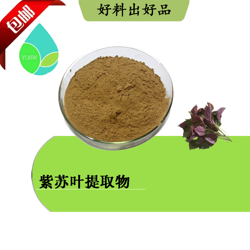 紫苏叶提取物10:1 植物提取物 云奇生物现货 量大从优