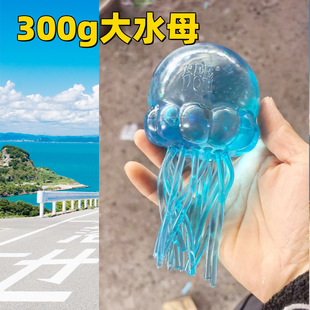 ��Ʒ300g�ش�̖���֟o����ѿ��ˮĸ����p�����⃺ͯ��߲ʺ��b