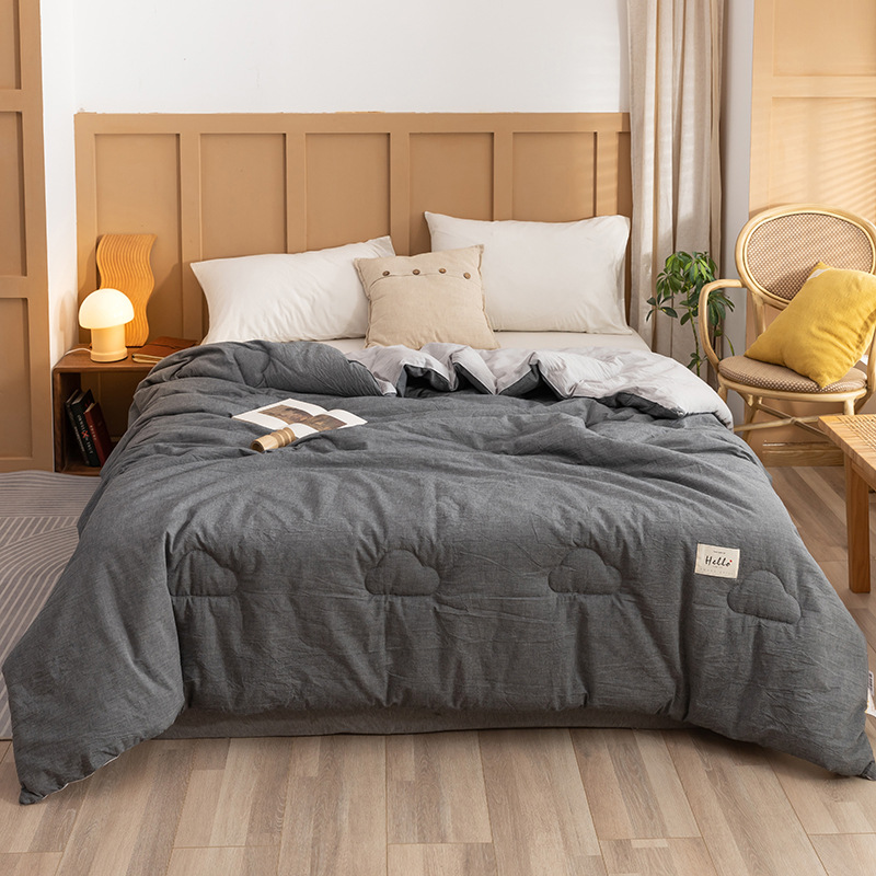 Four Seasons Universal Dormitorio individual Ropa de cama de algodón algodón algodón antibacteriano soja primavera y otoño edredón núcleo invierno image 17