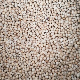 Ұ���ҷN��ɽ�����і|����ľ�N��ë���Ҙ�N�l������ɽ���Ҙ�N��