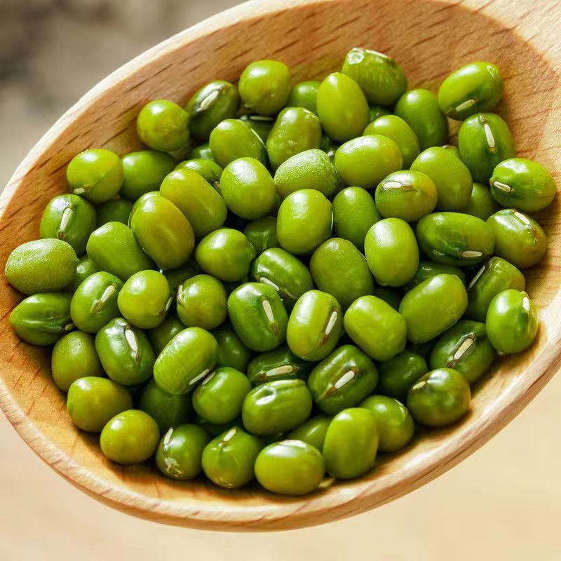 25年东北新货大绿豆5斤农家新鲜绿豆发豆芽煮粥汤易沙新豆1食用|undefined