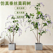 ����ֲ�ﴹ�zĪ��������҃ȿ͏d����b[���̈������쾰�پGֲ