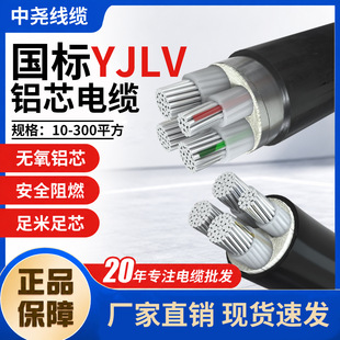 �����X��|�Xо��YJLV3 4 5о�����|��16 25 35 70 50ƽ��늾�