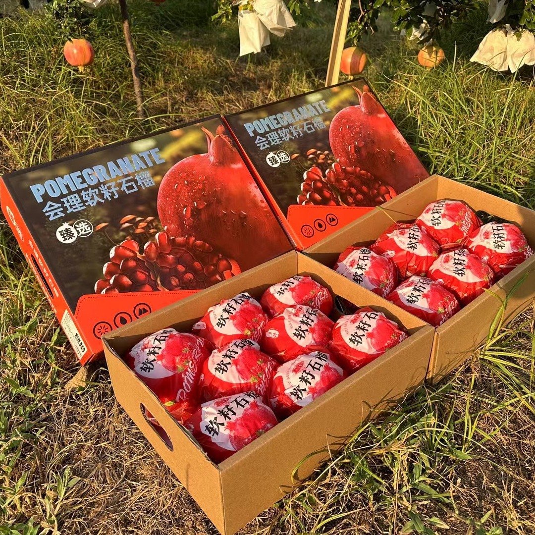 Sichuan Huili Tunisia Soft Seed Pomegranate Fresh Fruit Gift Employee Welfare Gift Box One Piece Dropshipping Free Shipping