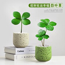 ī�����F�����~���\�������k���҃ȾGֲ���׃��@�_�W������w����