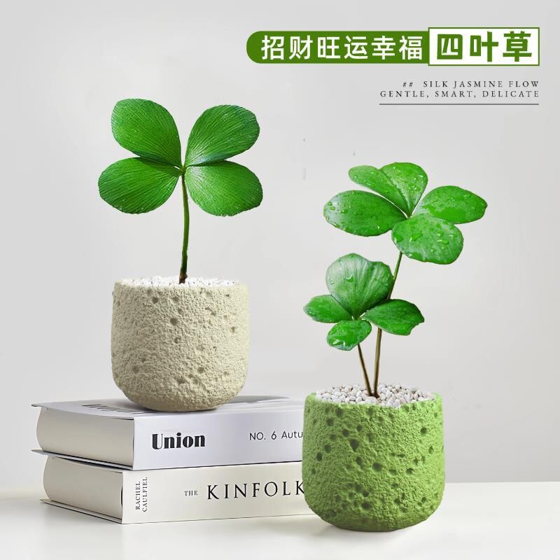 Mexican Ironwood Four-Leaf Clover Potted Plant Office Green Plant Kindergarten Back-To-School Desktop Mood-Enhancing Flower Mexican Ironwood Four-Leaf Clover Potted Plant Office Green Plant Kindergarten Back-To-School Desktop Mood-Enhancing Flower