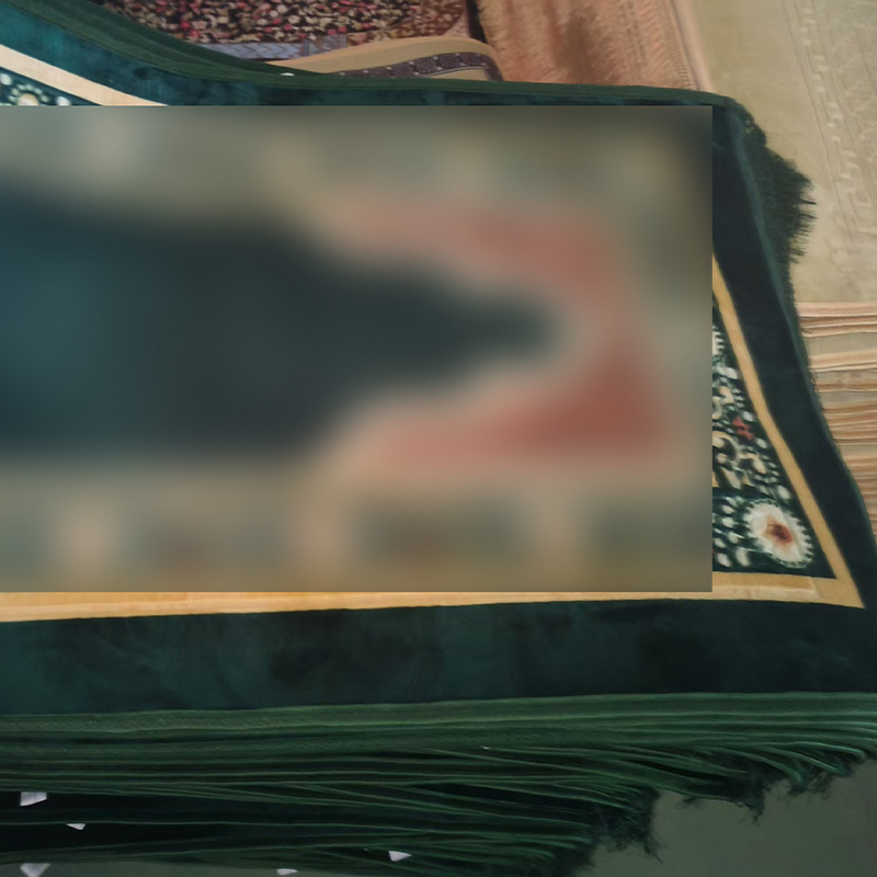 Fábrica de alfombra de Zhaobai fuente de flujo spot alfombra subai alfombra rascher alfombra doméstica antideslizante antisucia viento nacional