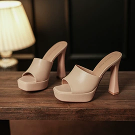 女式时装单鞋;女式皮靴;高跟凉鞋