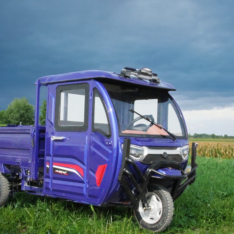 Electric tricycle with shed for household use and load capacity