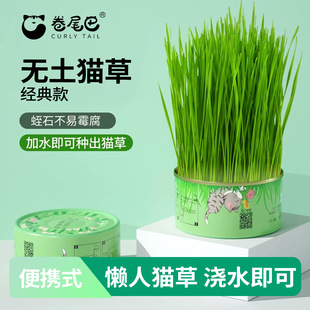 ��β�ͺ̱�؈���ЙC�o��ˮ�໯ë�����С��؈�ݷN��15g