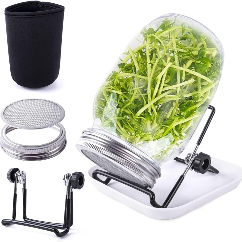 71fKSZrUGvL._AC_SL1500_