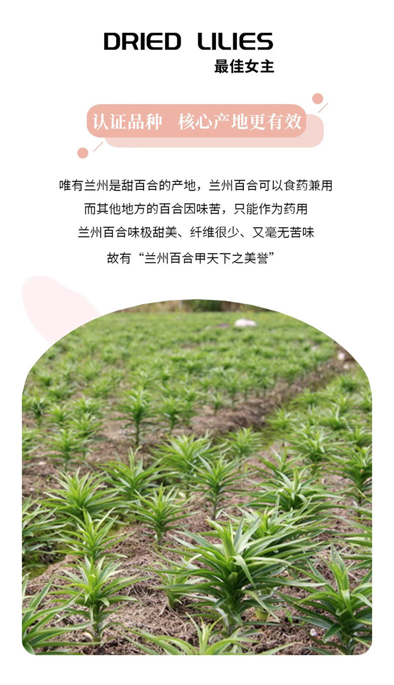 Dried Lily Bulb Bai He 百合 Large Slices for Soup Congee and Herbal Tea 500g key features