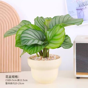 ���O���������Ի����҃����[���B����~�Gֲ�W�tINS�L������ֲ��