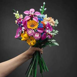 ���ݘ��߷eľ���컨��10342������ƴ�bģ���������[���羳���l