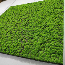 ����Gֲ��̦�\��̦��Ƥ΢���^�辰ֲ���쾰�b���ܛ�b�����Ƥ