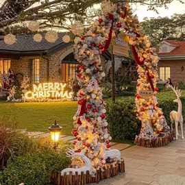 圣诞节装饰拱门藤条庭院户外加密花环带灯真路引道具拍照藤条装饰