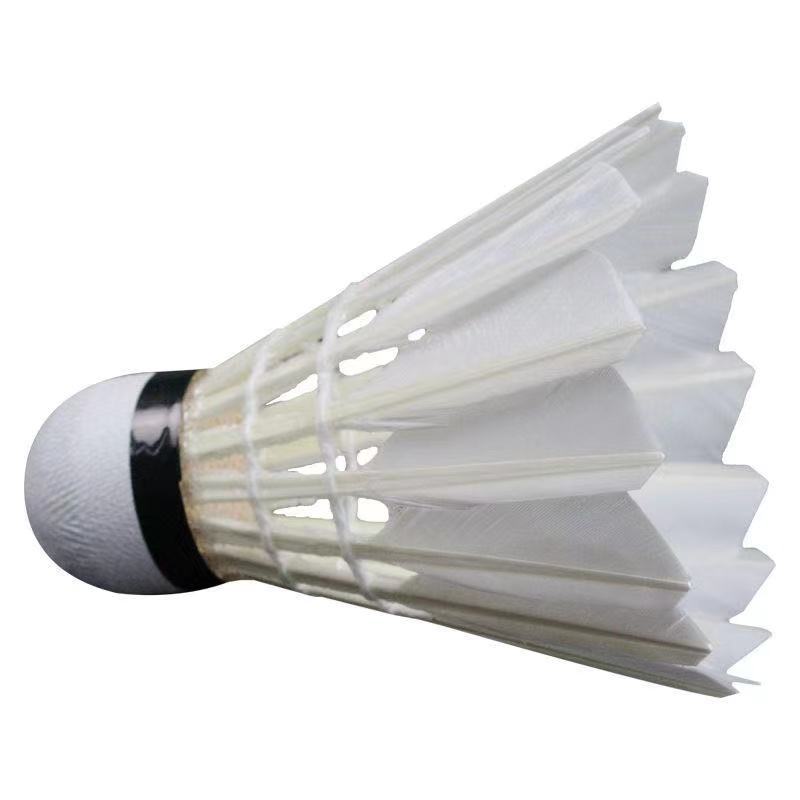 b9c21bca-752c-4ce4-9c09-eacb273c8b21.jpe