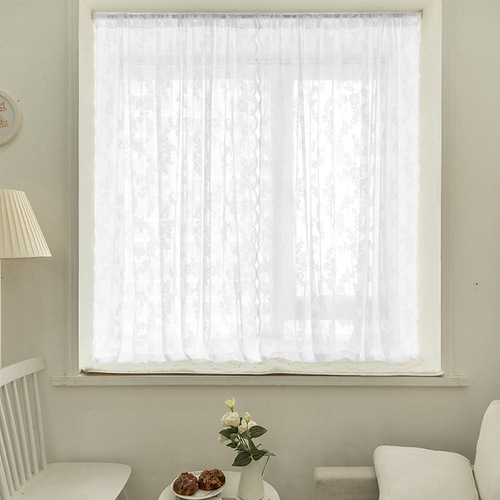 Amazon hole-free lace curtains finished rod European and American pastoral white gauze curtains door curtains bedroom bay window curtains