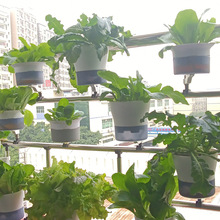 【护栏花盆】阳台种菜一体悬挂自吸水种植盆
