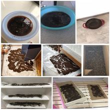 碎红茶茶叶散装修去甲醛批发茶叶蛋除味吸味茶叶梗新房烘焙红毛茶