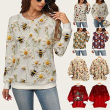 跨境欧美女装2025秋冬新款大码3D立体印花上衣休闲宽松套头卫衣女