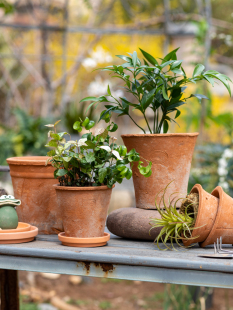 �t�ջ��������͸���մ�������������бP�������ͥԺ���l