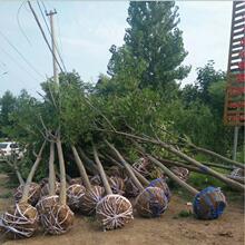 ��� �ϙ�乤�̾G����ľ �Sɽ���Ҏ���Rȫ �е���G��