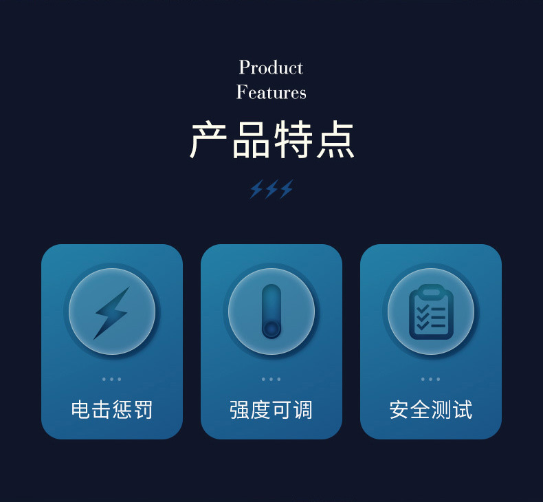 电棍电鞭详情_02.jpg