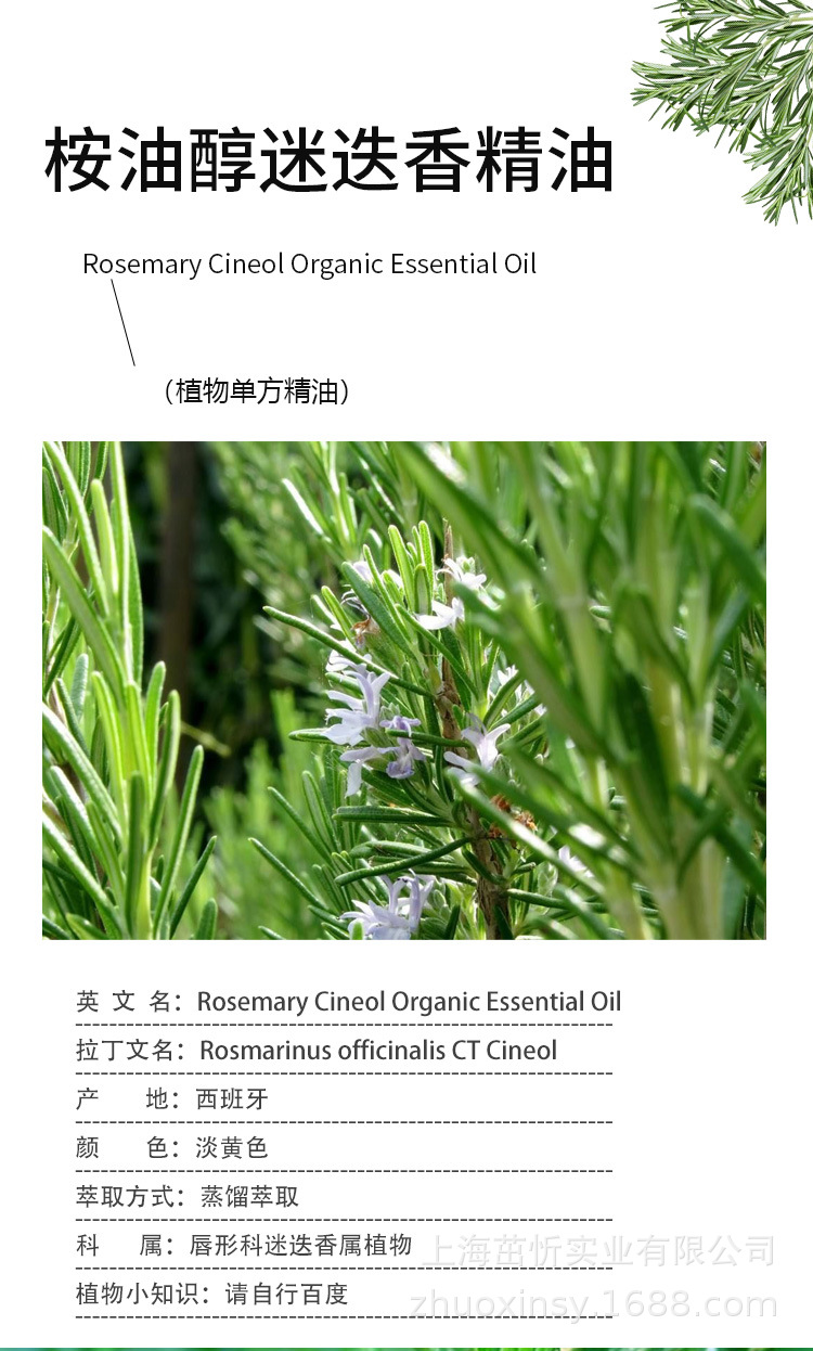 迷迭香详情页-(1)_01.jpg