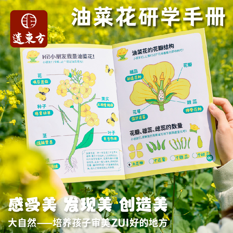 户外春天油菜花研学手册手工diy儿童制作材料包幼儿园自然美育