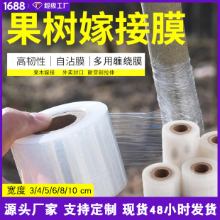 Small Roll Wrapping Film Fruit Tree Grafting Film Takeaway Packaging Cargo Film Wrapping Film Fresh-keeping Film Stretch Industrial Packaging Film