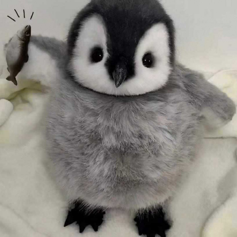 Simulación encantadora muñeca pingüino emperador juguetes de peluche pareja pingüino boda tirar muñeca tela de cumpleaños