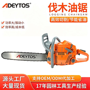 �¸�羳���l���Sֱ�N365������������ɭ��������ľ�и�C