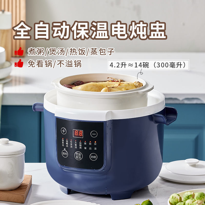 汤达人炖盅隔水炖家用煲炖汤电炖锅大容量自动断电煮粥锅燕窝稀饭