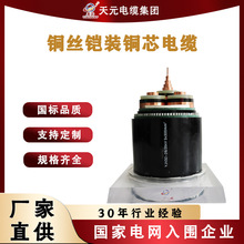 SֱYJV22YJV32~оȼ͉䓎zb 0.6/1KV͉|