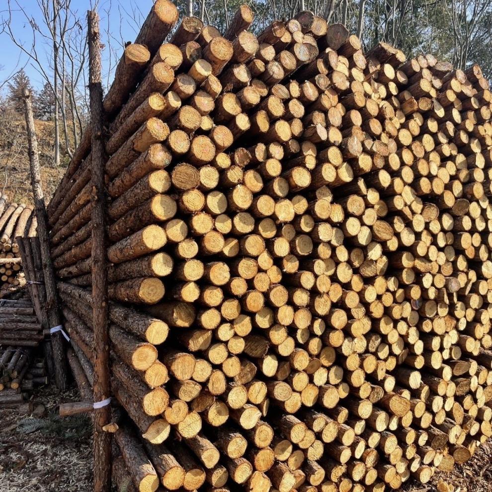 0e04164a-82de-4e1a-a268-a1e99d092b92.jpe