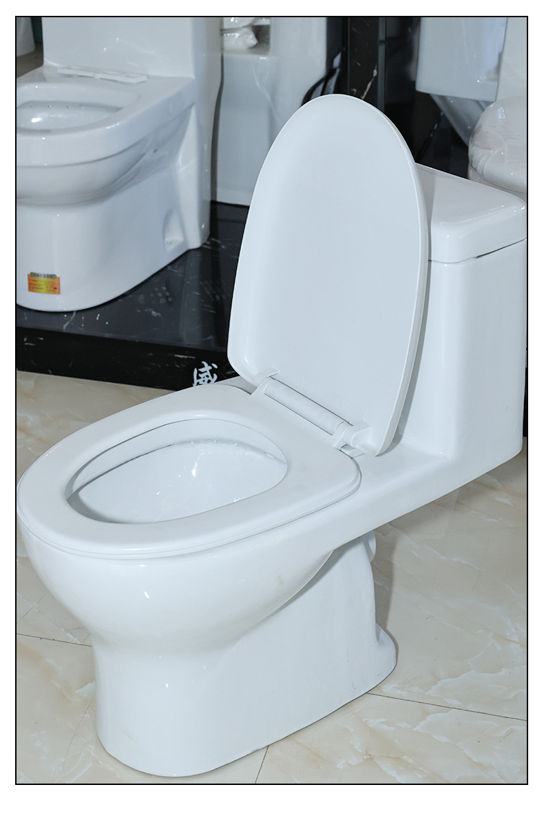 Rear toilet wall drainage toilet project toilet seat undefined