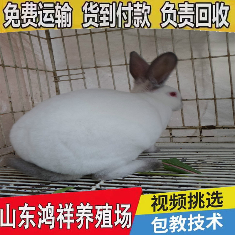 970_23521180-2995-l6f5-mtkh-n2